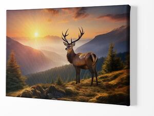FeelHappy Obraz na plátně - Jelen se vyhřívá při západu slunce Velikost obrazu: 210 x 140 cm