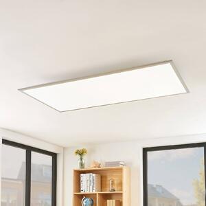 Lindby LED panel Stenley, 4 000 K, 120 cm x 60 cm, stříbrná/bílá, Bílá / opál, Kuchyň, Plast, Moderní