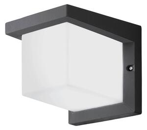 VENKOVNÍ NÁSTĚNNÉ SVÍTIDLO, 16/16/19 cm Eglo - Online Only svítidla, Online Only