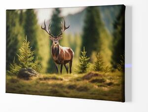 FeelHappy Obraz na plátně - Majestátní jelen mezi malými smrčky Velikost obrazu: 210 x 140 cm