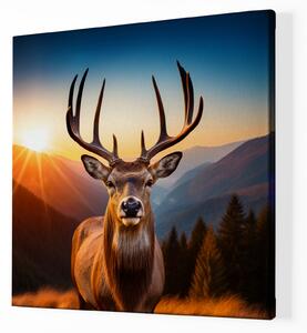 Obraz na plátně - Majestátní jelen na horské louce se západem slunce FeelHappy.cz Velikost obrazu: 60 x 60 cm