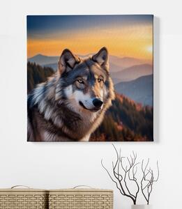 Obraz na plátně - Vlk na kopci přemýšlí, kudy se vydá FeelHappy.cz Velikost obrazu: 40 x 40 cm
