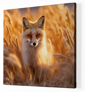 FeelHappy Obraz na plátně - Liška odpočívá v bílých travinách Velikost obrazu: 40 x 40 cm