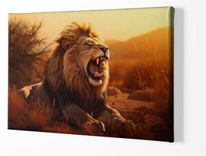 FeelHappy Obraz na plátně - Lev zívá v savaně při západu slunce Velikost obrazu: 210 x 140 cm
