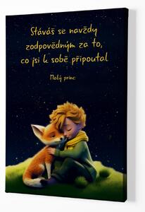 Obraz na plátně - Malý princ, vesmírné souznění, Stáváš se navždy zodpovědným FeelHappy.cz Velikost obrazu: 30 x 40 cm