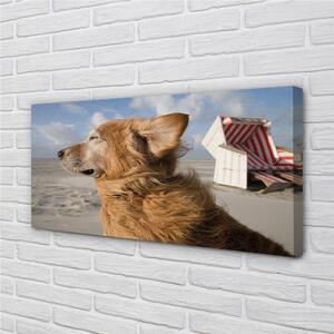 Obrazy na plátně Hnědý pes beach 100x50 cm
