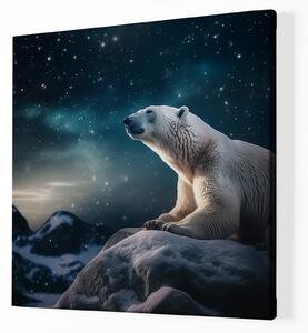 Obraz na plátně - Lední medvěd leží na skále za hvězdné noci FeelHappy.cz Velikost obrazu: 60 x 60 cm