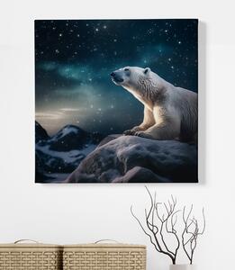 Obraz na plátně - Lední medvěd leží na skále za hvězdné noci FeelHappy.cz Velikost obrazu: 40 x 40 cm