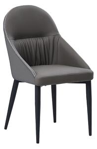 Jídelní židle Saflor (šedá + kov). 1034339