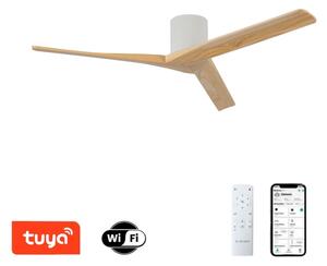 ZEVENTI - Stropní ventilátor VELLON Wi-Fi Tuya bílá/pavlovnie + DO