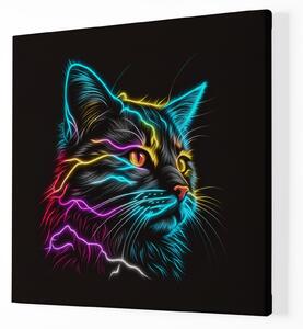 Obraz na plátně - Barevná zářící kočka FeelHappy.cz Velikost obrazu: 40 x 40 cm