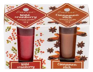 Emocio Sklo 52x65 mm 2 ks v krabičce Wild Cranberry & Cinnamon Stick, vonná svíčka
