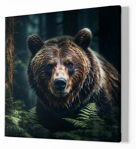 FeelHappy Obraz na plátně - Medvěd v kapradí, Králové divočiny Velikost obrazu: 140 x 140 cm