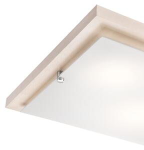 Stropní svítidlo 1xE27/60W/230V