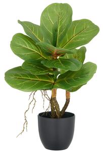 Umělý strom Fíkus Lyrata, 34cm