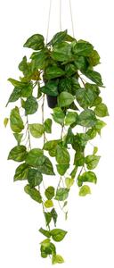 Umělá popínavá rostlina Philodendron popínavý závěsný, 75cm