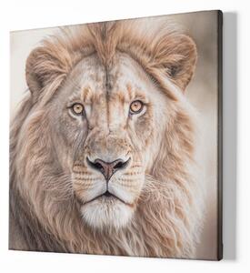 FeelHappy Obraz na plátně - Lev, portrét hluboký pohled krále, Králové divočiny Velikost obrazu: 140 x 140 cm