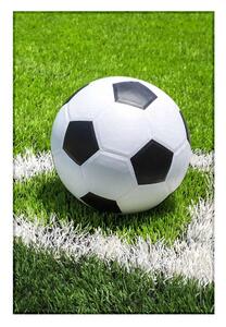 Jerry Fabrics Fleecová deka s motivem Fotbal - 100 x 150 cm