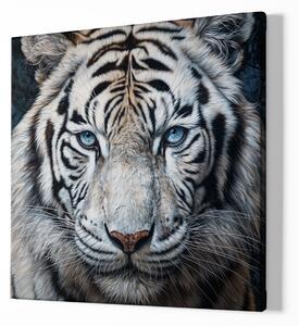 FeelHappy Obraz na plátně - Bílý Tygr, Ledový pohled, Makro portrét, Králové divočiny Velikost obrazu: 140 x 140 cm