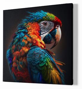 FeelHappy Obraz na plátně - Papoušek Ara, Barvy pralesa, Makro portrét, Králové divočiny Velikost obrazu: 140 x 140 cm
