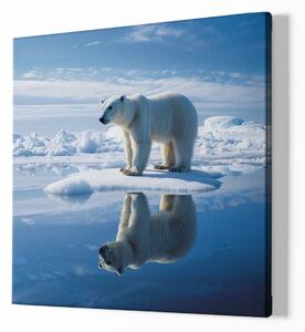 FeelHappy Obraz na plátně - Polární medvěd, Strážce ledových plání, Králové divočiny Velikost obrazu: 140 x 140 cm