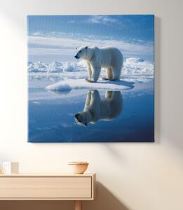 Obraz na plátně - Polární medvěd, Strážce ledových plání, Králové divočiny FeelHappy.cz Velikost obrazu: 140 x 140 cm