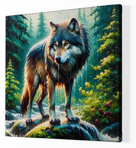 FeelHappy Obraz na plátně - Vlk v deštivém lese Velikost obrazu: 80 x 80 cm