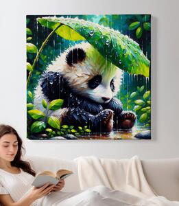 Obraz na plátně - Panda čeká, až přestane pršet FeelHappy.cz Velikost obrazu: 100 x 100 cm