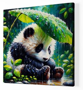 Obraz na plátně - Panda čeká, až přestane pršet FeelHappy.cz Velikost obrazu: 40 x 40 cm