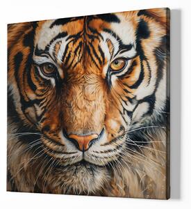 FeelHappy Obraz na plátně - Tygr, Pohled Lovce, Makro portrét, Králové divočiny Velikost obrazu: 140 x 140 cm