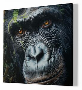 FeelHappy Obraz na plátně - Gorila, Přítel z džungle, Makro portrét, Králové divočiny Velikost obrazu: 140 x 140 cm
