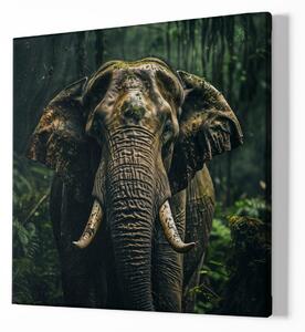 FeelHappy Obraz na plátně - Slon, Paměť pralesa, Makro portrét, Králové divočiny Velikost obrazu: 140 x 140 cm