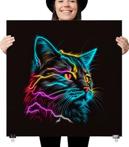 Plakát - Barevná zářící kočka FeelHappy.cz Velikost plakátu: 40 x 40 cm
