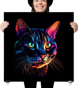 Plakát - Barevná kočka FeelHappy.cz Velikost plakátu: 40 x 40 cm