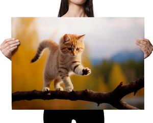 Plakát - Mladá kočka balancuje na hraně FeelHappy.cz Velikost plakátu: A3 (29,7 × 42 cm)