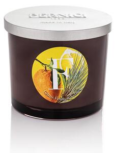 Pernici Elementi - Citrus Fruit & Vetiver Doba hoření: 40 - 45 hodin