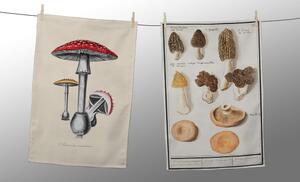 Sada 2 ubrousků Tierra Bella Botanical Fungi, 47 x 65 cm