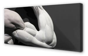Obrazy na plátně Sval black and white 100x50 cm