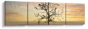 Obraz - Strom na poušti (170x50 cm)