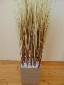 Dekorační tráva dried 70cm