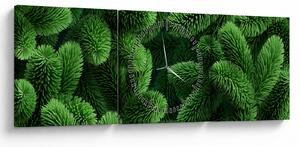 Obraz - Větvičky jehličnanu (s hodinami) (90x30 cm)