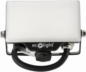 ECOLIGHT LED reflektor 10W 2v1 - studená bílá + čidlo pohybu