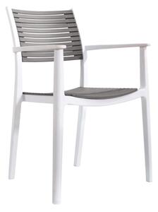 Jídelní židle HERMA (bílá + šedá). 1091683