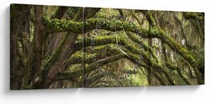Obraz - Oaks Avenue, Charleston, Jižní Karolína, USA (s hodinami) (90x30 cm)