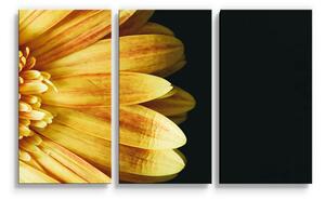 Sablio Obraz - 3-dílný Žlutá gerbera - 120x80 cm