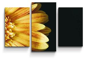 Sablio Obraz - 3-dílný Žlutá gerbera - 75x50 cm