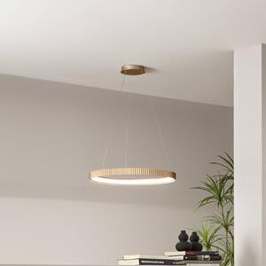 Luce Ambiente Design Závěsné světlo LED Niike, zlatá barva, Ø 50 cm, kov,, Mosaz / zlato, Obývací pokoj / jídelna, kov, Moderní