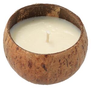 ČistéDřevo Kokosová vonná svíčka - Skořice
