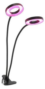 LED Stm flex. stolní lampa s klipem pro pěst. rostlin VITARO 2xLED/4W/230V černá