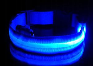 Modrý LED obojek pro psa/kočku DUKE - různé velikosti Velikost: S
